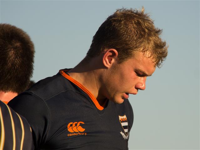 Captain Courageous could make Currie Cup debut | News Article