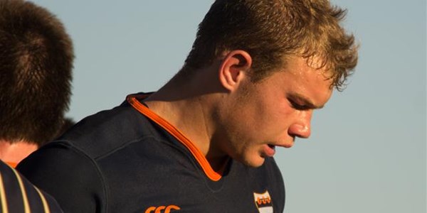 Captain Courageous could make Currie Cup debut | News Article