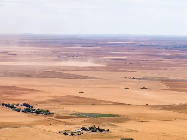 Landbounuus-podcast: Droogtegeteisterde NK-boere voel positief | News Article
