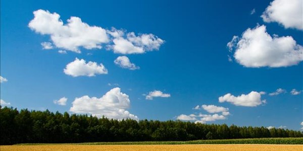 Agri podcast: Women 'should stand shoulder to shoulder with men' Agri podcast: Women 'should stand shoulder to shoulder with men' | News Article