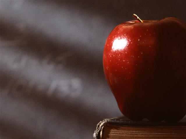 #CoronavirusSA: Teachers return to the classroom | News Article