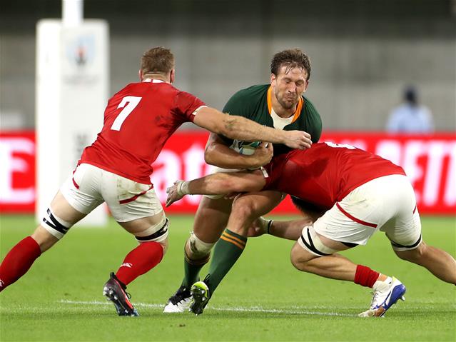 Draft squad named for Springbok Showdown | News Article