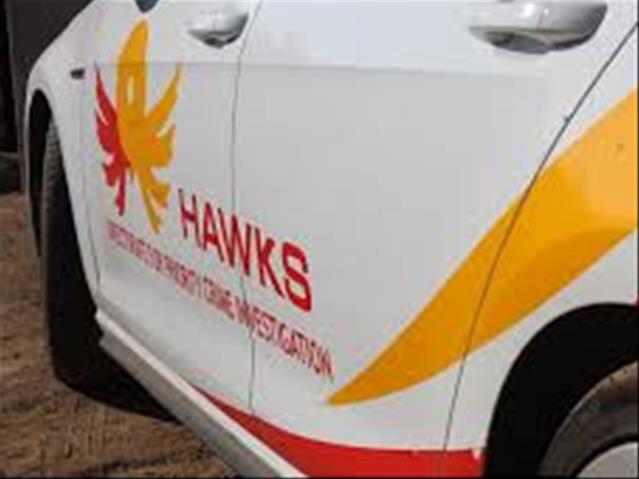 Hawks investigate NC Cogta | News Article