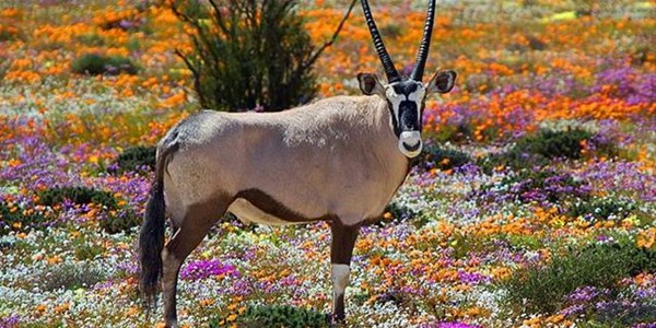 Tourism spots open in the Northern Cape Tourism spots open in the Northern Cape | News Article