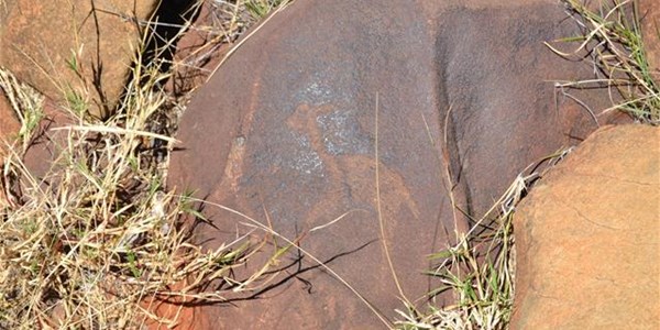 #HeritageDay2020: Mokala’s ancient art accessible again  | News Article