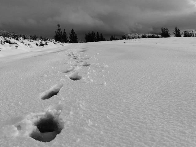 ‘Disruptive snowfall’ to hit several provinces | News Article