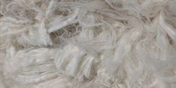 Cape Wools SA: Wolmark ervaar daling Cape Wools SA: Wolmark ervaar daling | News Article