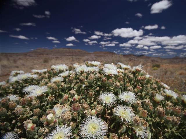 Northern Cape invites tourists | News Article