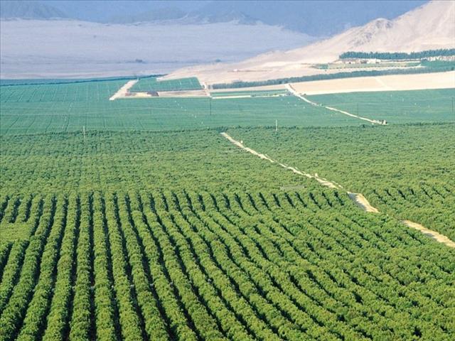 Agri-parks hold challenges - Didiza | News Article