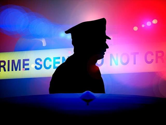 Three nabbed for illegal firearms | News Article