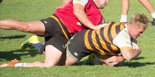 Cheetahs delighted to take contact again Cheetahs delighted to take contact again | News Article