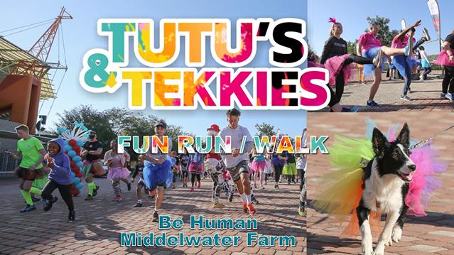 Don your tutus and tekkies for a good cause! 