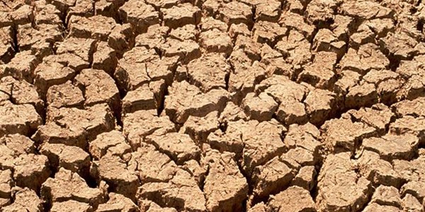 Boesmanland-boere nog hoopvol vir reën Boesmanland-boere nog hoopvol vir reën | News Article