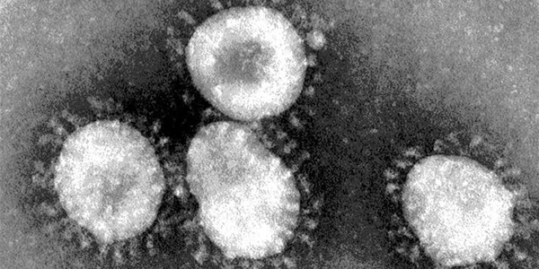 #CoronavirusSA: 'Fear-mongering must stop' | News Article