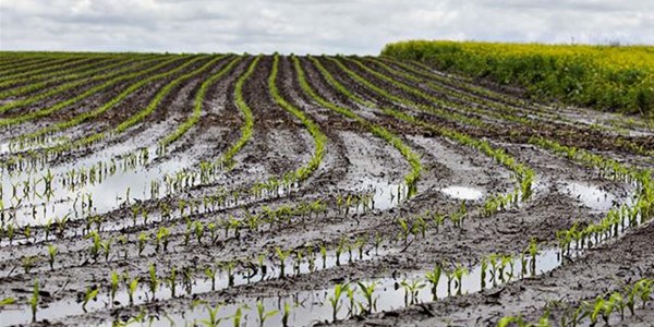 Landbounuus-podcast: VS plaasinfrastruktuur kommerwekkend ná reën Landbounuus-podcast: VS plaasinfrastruktuur kommerwekkend ná reën | News Article