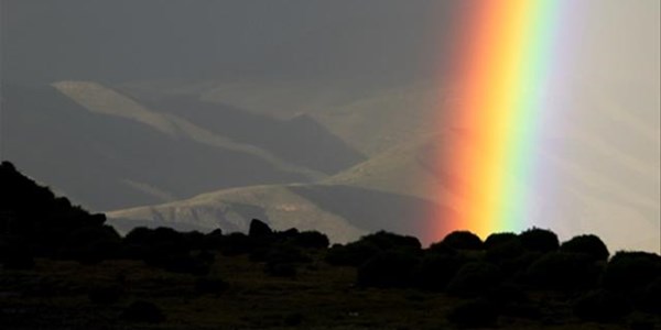 Opvolgreën in sekere NK-gebiede nodig Opvolgreën in sekere NK-gebiede nodig | News Article