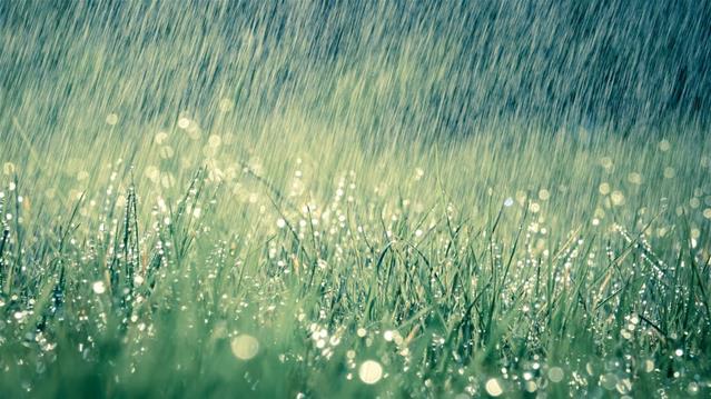 Meer as 580mm reën in NW aangeteken | News Article