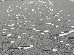 FS accident claims four lives | News Article