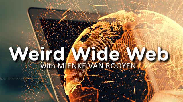 TJR - Weird Wide Web - The Monkey tails | News Article