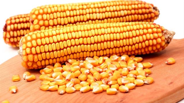 Agri-Uur: Jongste Safex-nuus | News Article