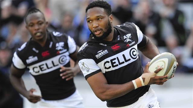 Sharks name strong team for semi-final | News Article