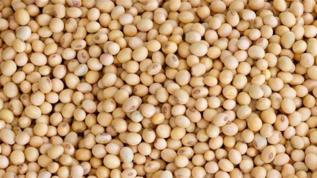 Agri-Uur: Jongste Safex-nuus | News Article