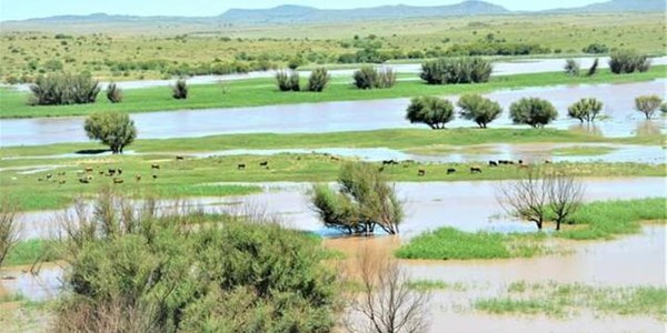Hier is van jou hoof landboustories op OFM Hier is van jou hoof landboustories op OFM | News Article