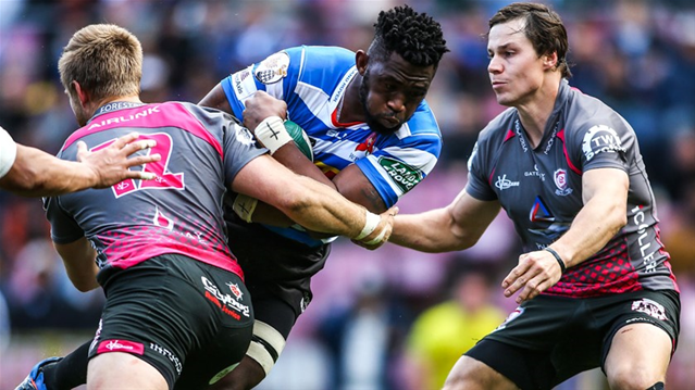 Kolisi back to lead Province in  semi-final | News Article