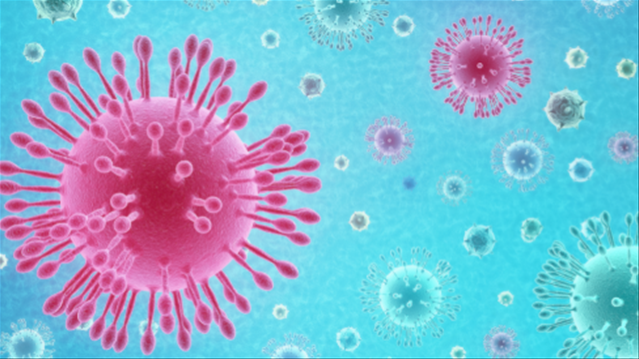 New Zealand says new #Covid19 case is SA variant | News Article
