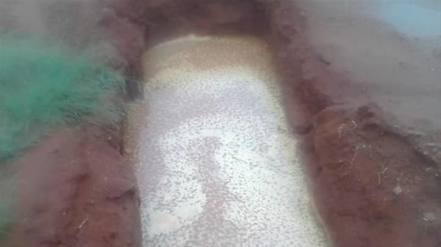 #Flooding damaged NC cemetery | News Article