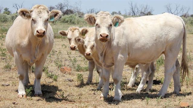 Hier is van jou hoof landboustories op OFM | News Article