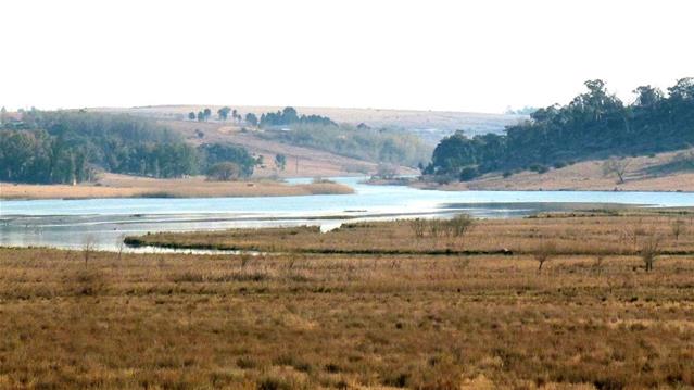 Só lyk plaaslike damvlakke | News Article