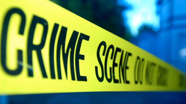 Abandoned baby found in veld | News Article