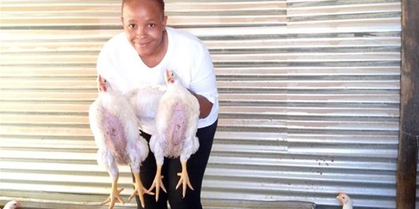 Poultry Q&A with young NC poultry farmer Poultry Q&A with young NC poultry farmer | News Article