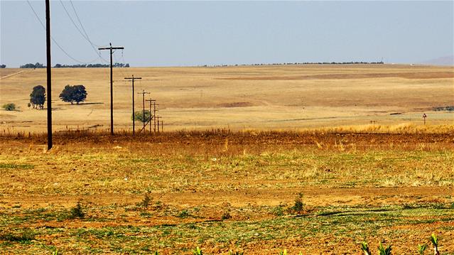 Hier is van jou hoof-landboustories op OFM | News Article