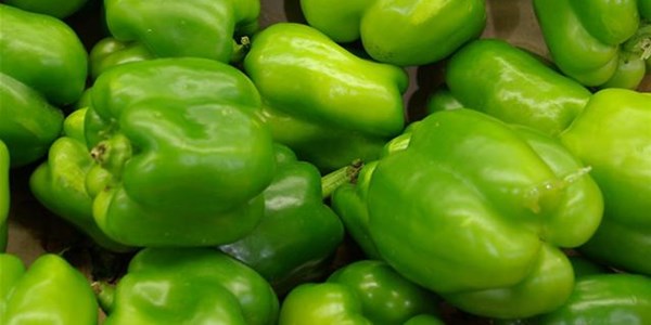 Fresh produce price outlook for first quarter Fresh produce price outlook for first quarter | News Article