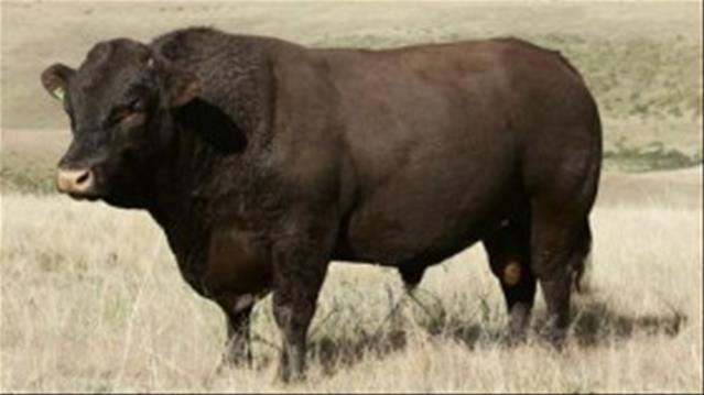 Styging in veepryse aangeteken  | News Article