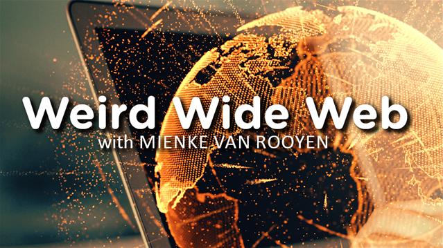 TJR - Weird Wide Web | News Article