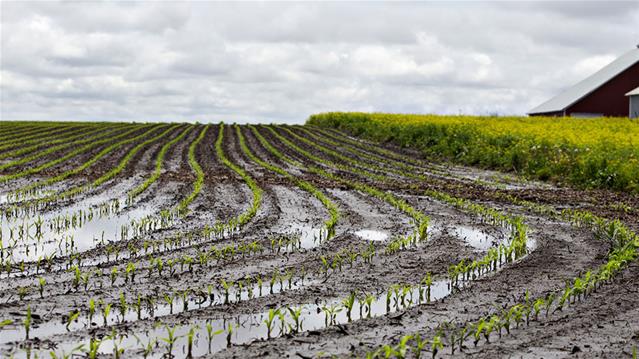 #NCfloods: LUR praat oor swaar reën, vloede | News Article