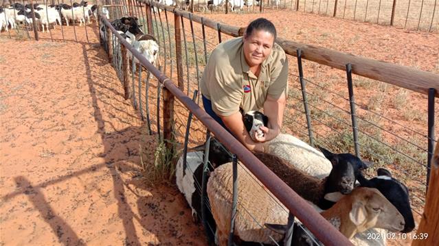 Veediefstal verhoed NK-boer se groei | News Article