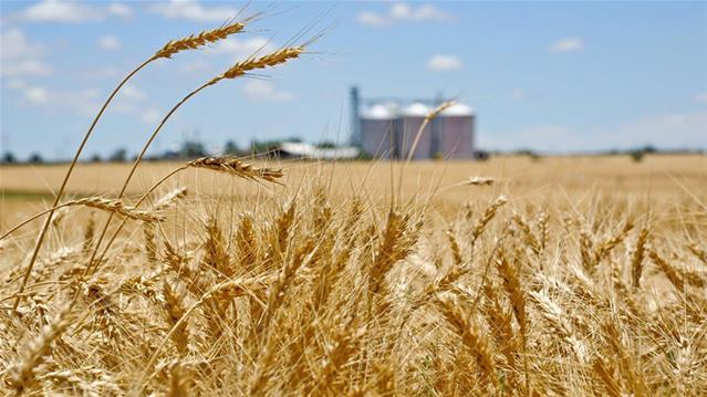 Agri-Uur: Jongste Safex-nuus | News Article