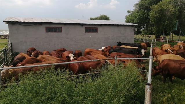 Landbounuus-podcast: Hulpverleningsorganisasie gee terug aan boerderygemeenskap | News Article