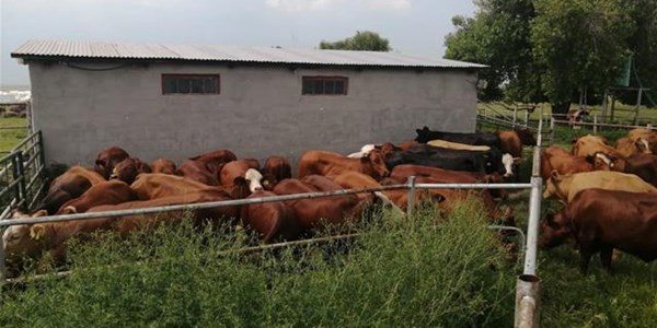 Landbounuus-podcast: Hulpverleningsorganisasie gee terug aan boerderygemeenskap | News Article
