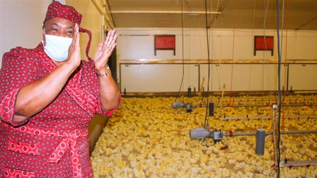 Departmental agricultural programme in full swing | News Article