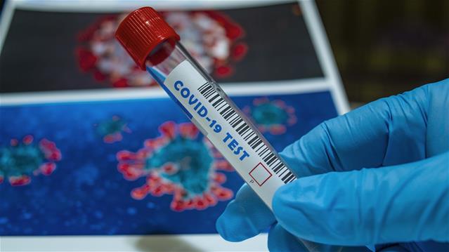 #CoronavirusSA: 1,210 new cases reported | News Article