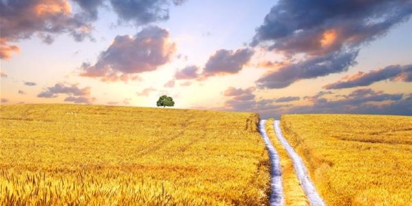 Agri’s biggest stories of the week Agri’s biggest stories of the week | News Article
