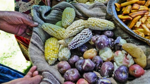 Malnutrition a serious cause of child deaths | News Article