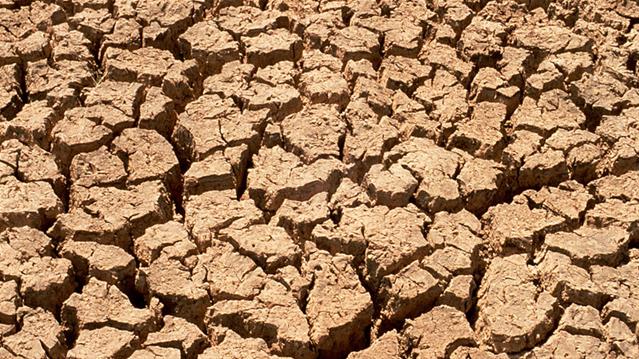 Landbounuus-podcast: Droogte heers steeds in dele van NK | News Article
