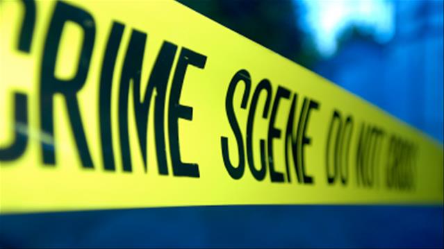 Cele’s crime fighting plans get support from experts | News Article