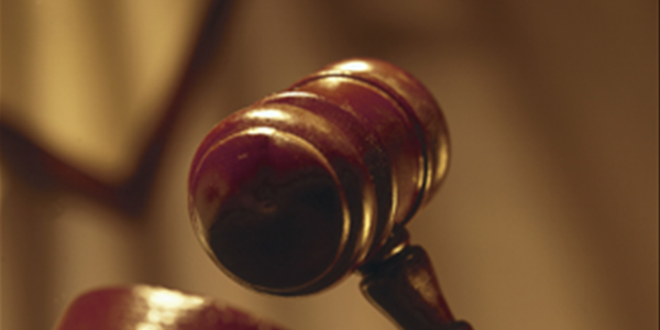 Agri podcast: Two men in court for stock theft Agri podcast: Two men in court for stock theft | News Article